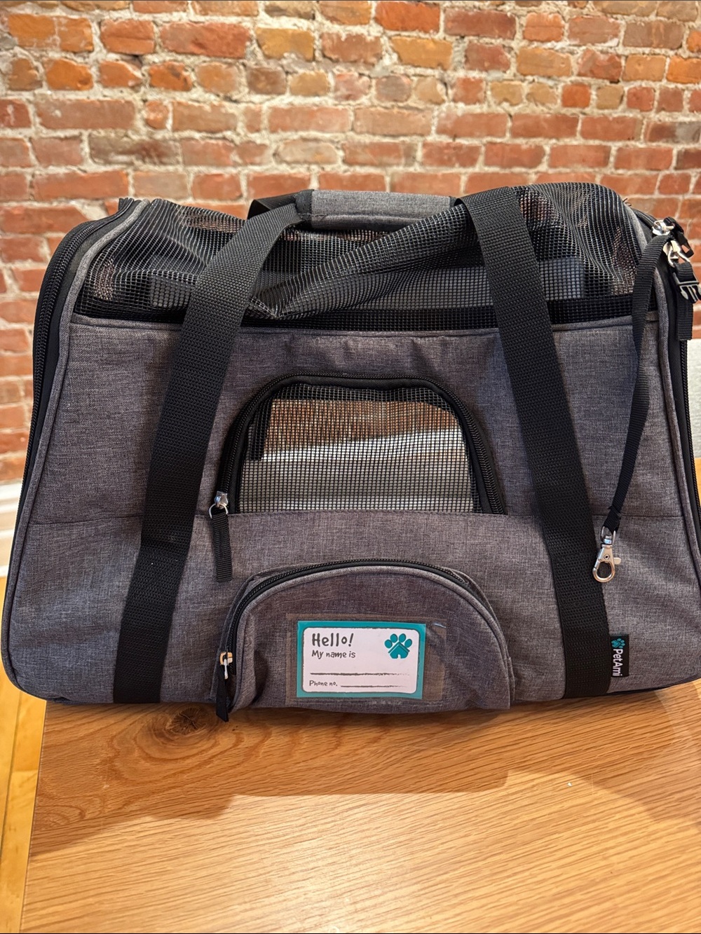 Small Pet Carrier Bag